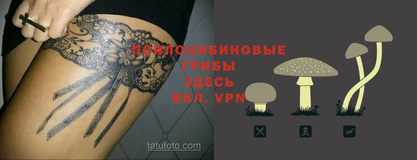 крисы Краснотурьинск
