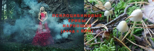 кокаин премиум Краснослободск