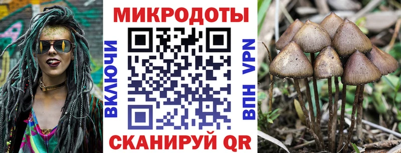 Купить где Касли Псилоцибиновые грибы Cubensis